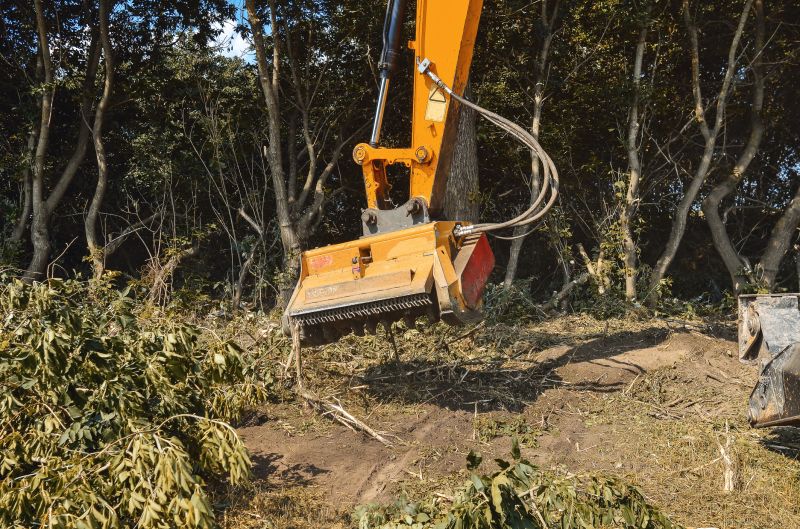Brush Clearing Service in Atlanta, GA