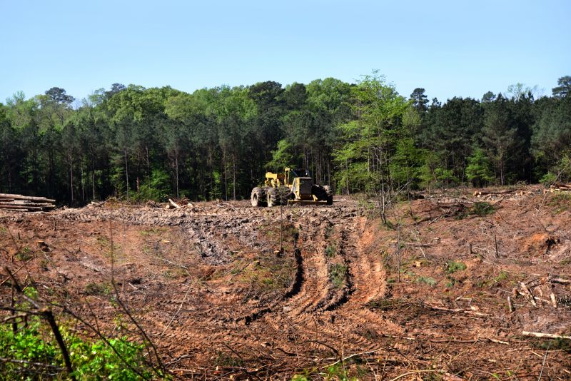 Easement Land Clearing in Atlanta, GA