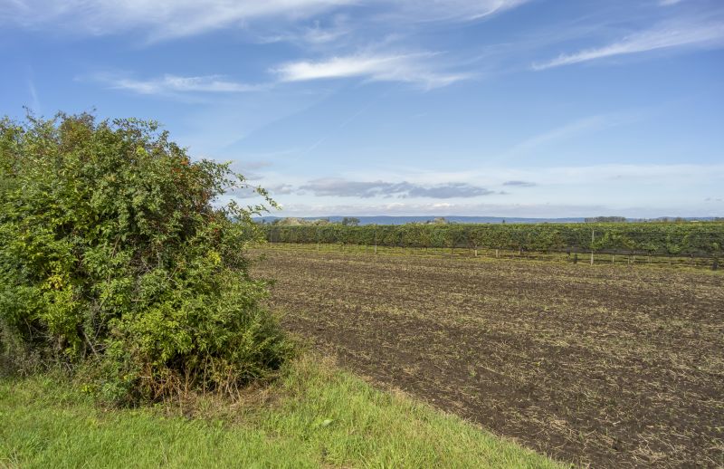 Farm Clearing in Atlanta, GA