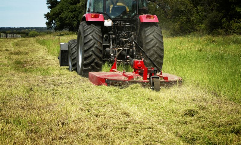 Brush Clearing Service in Katy, TX