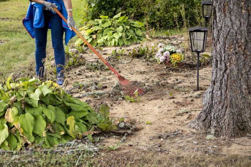 Ground Clearing in Atlanta, GA