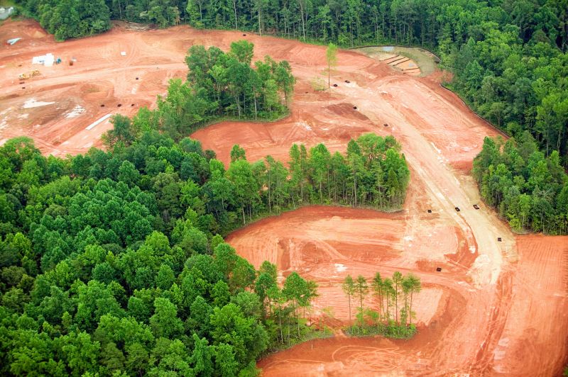 Ground Clearing in Houston, TX