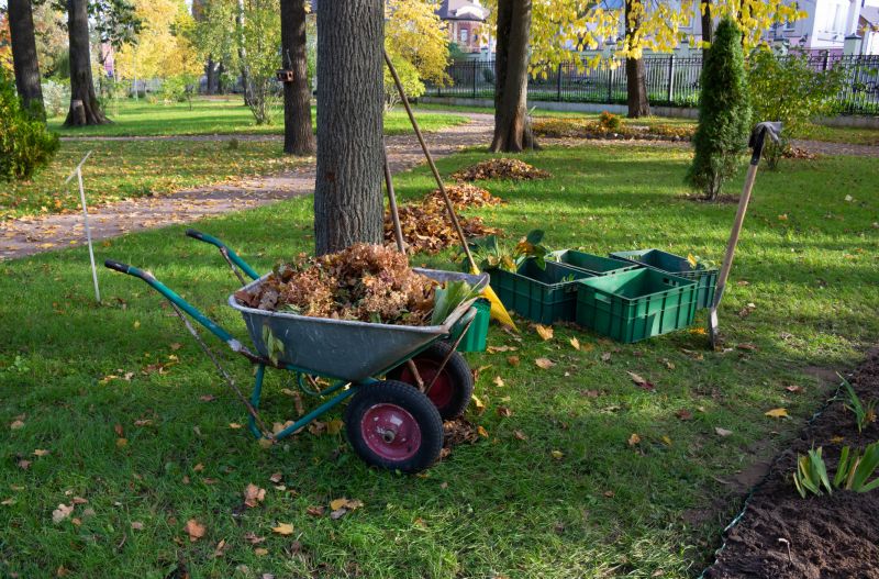 Site Clearing Service in Atlanta, GA