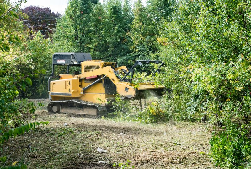 Underbrush Clearing in Katy, TX